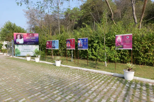 Harivan Ashram — outdoor gathering